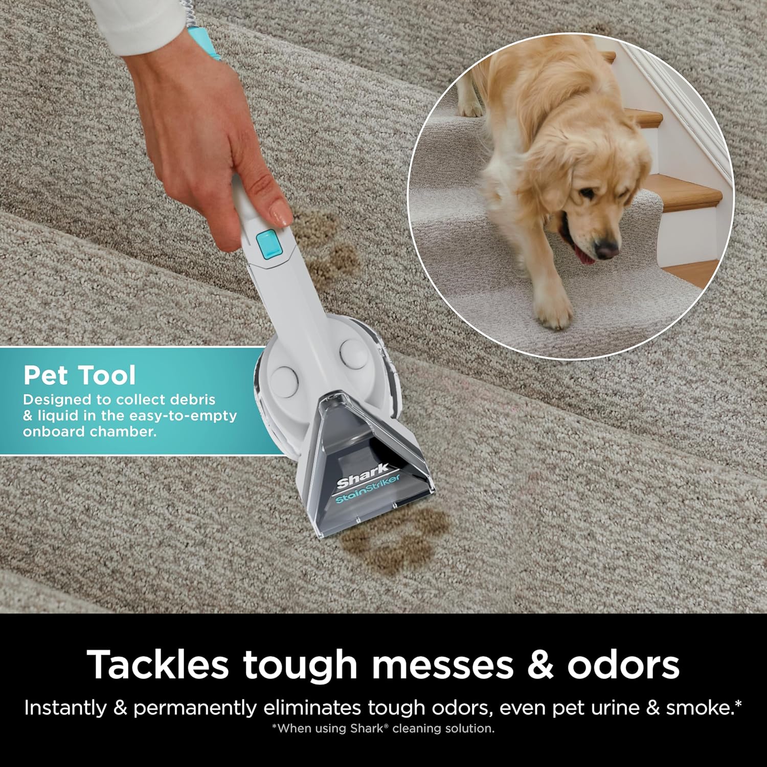 Shark CarpetXpert Upright Carpet Upholstery Cleaner with StainStriker Carpet Shampooer, Cyan - Open Box