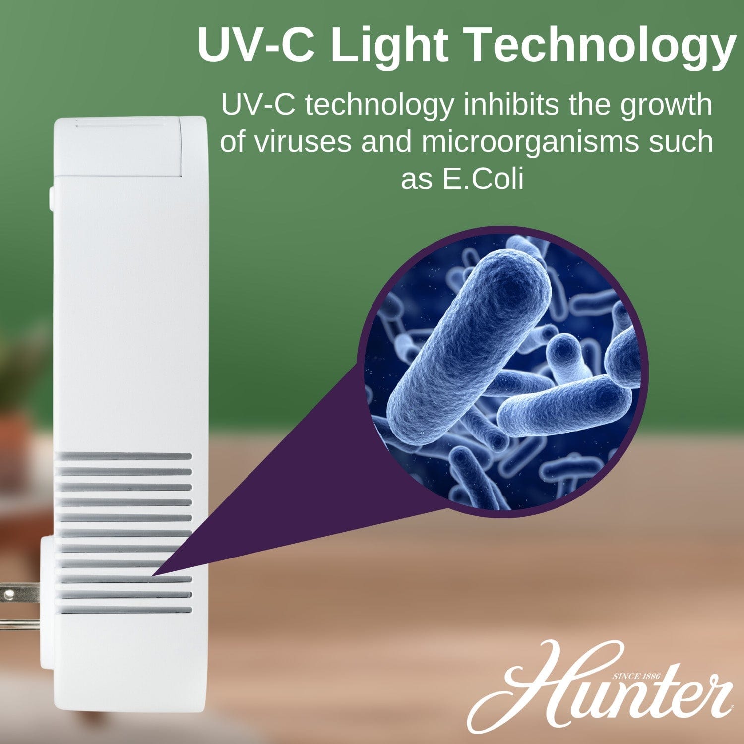 Hunter Plug-In UV-C Air Sanitizer HP247AP