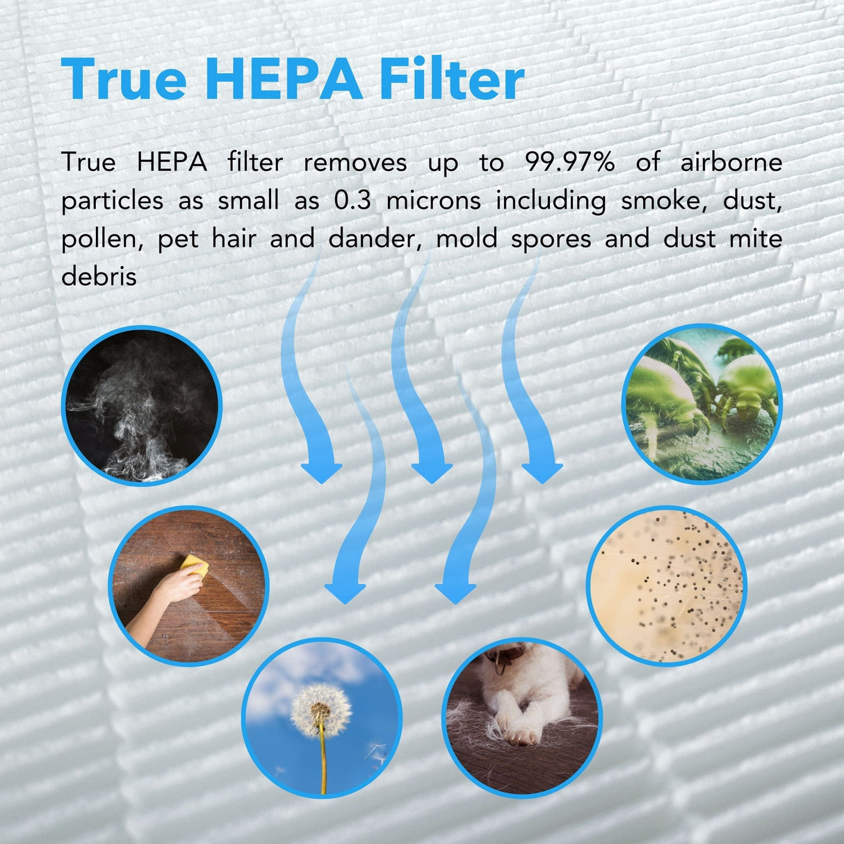 Hunter True HEPA Cylindrical Tower Air Purifier with UVC Light Technology, True HEPA, HP450UV