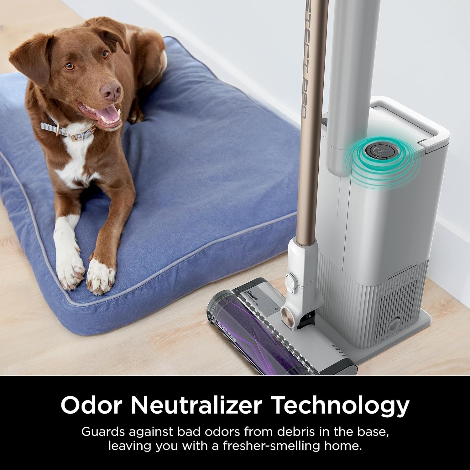 Shark Detect Pro Auto-Empty System, Cordless Vacuum, White/Beats Brass - Open Box