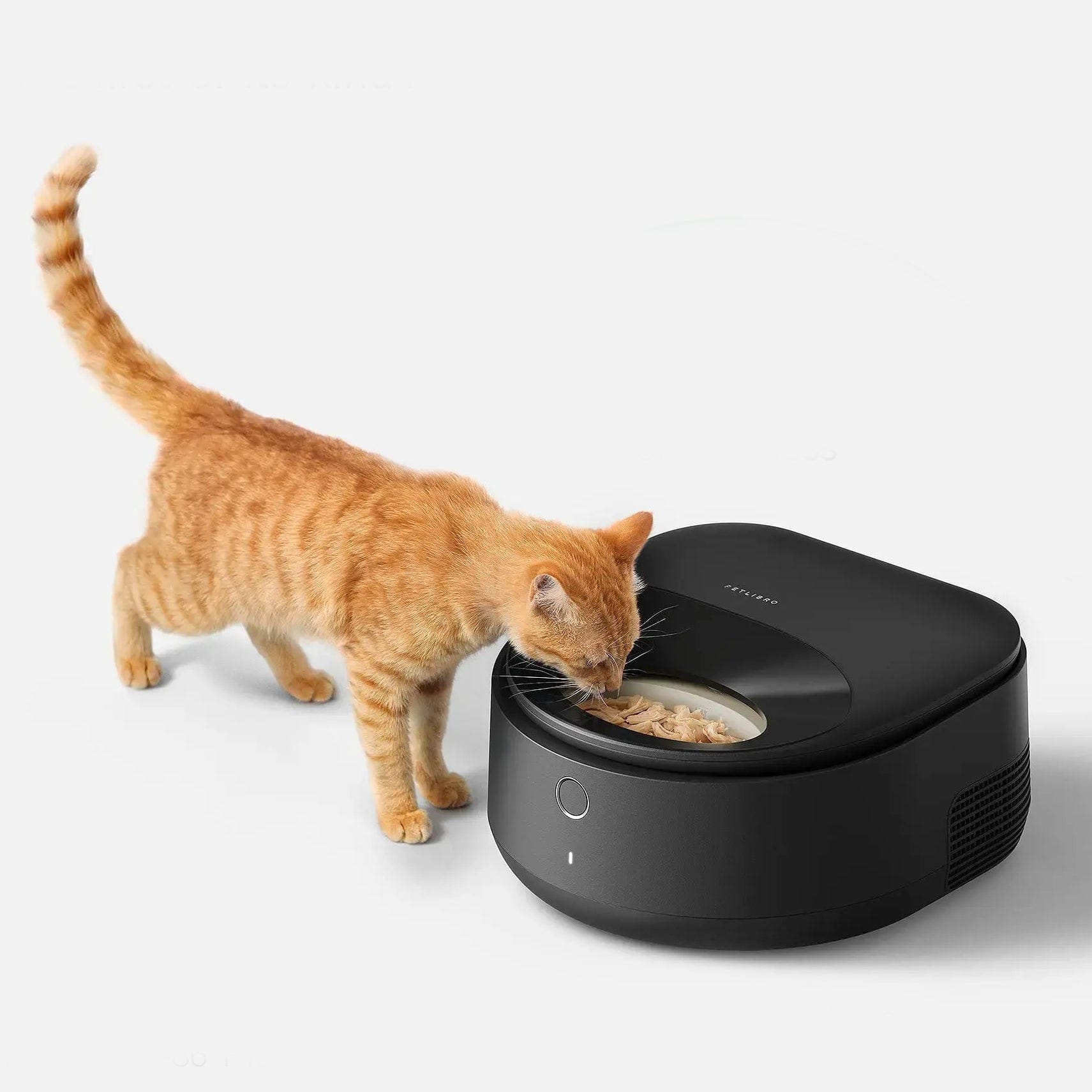 Petlibro Polar App Control Smart Wet Food Pet Feeder, 3 Meals, Anti-Pinch, Black - Certified Refurbished