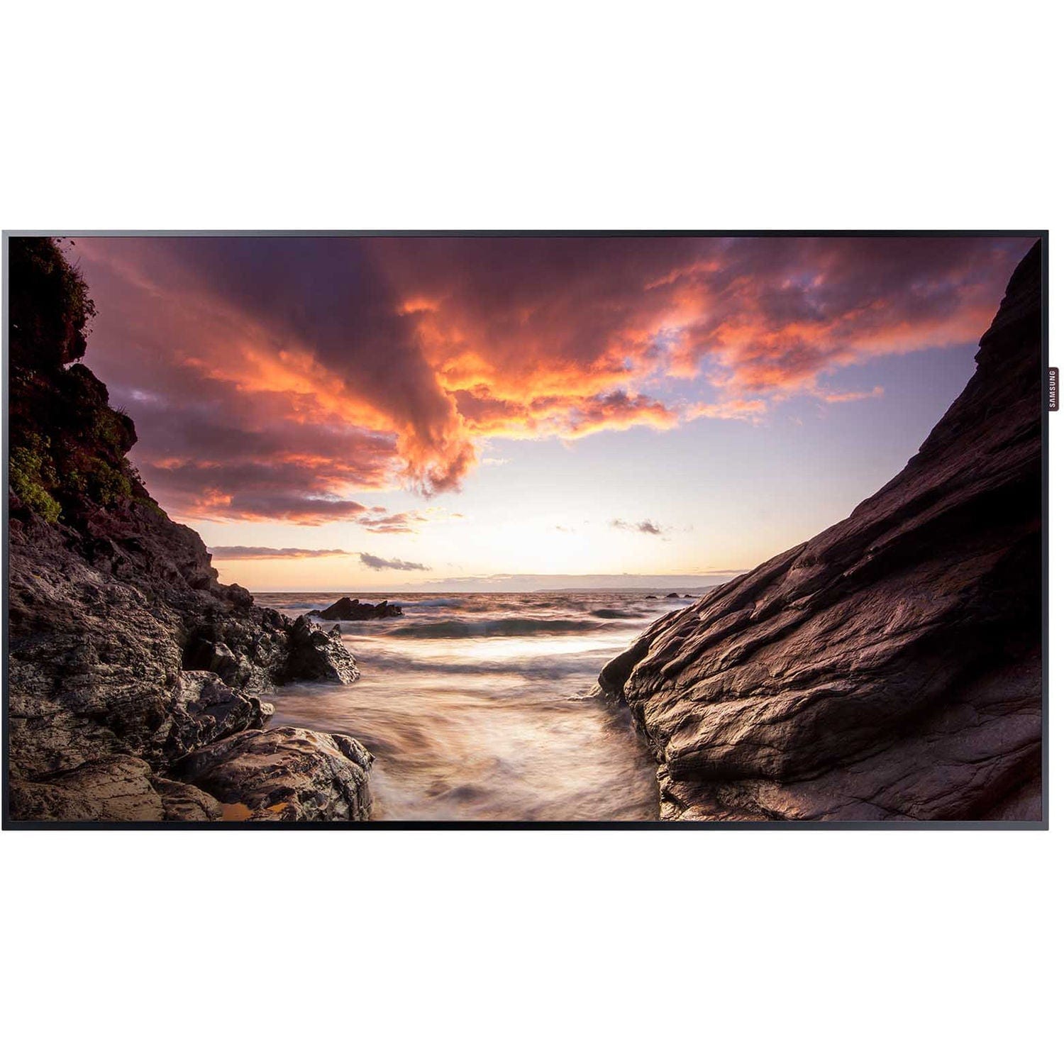 Samsung 49" 1920 x 1080 60Hz Professional Monitor - Certified Refurbished