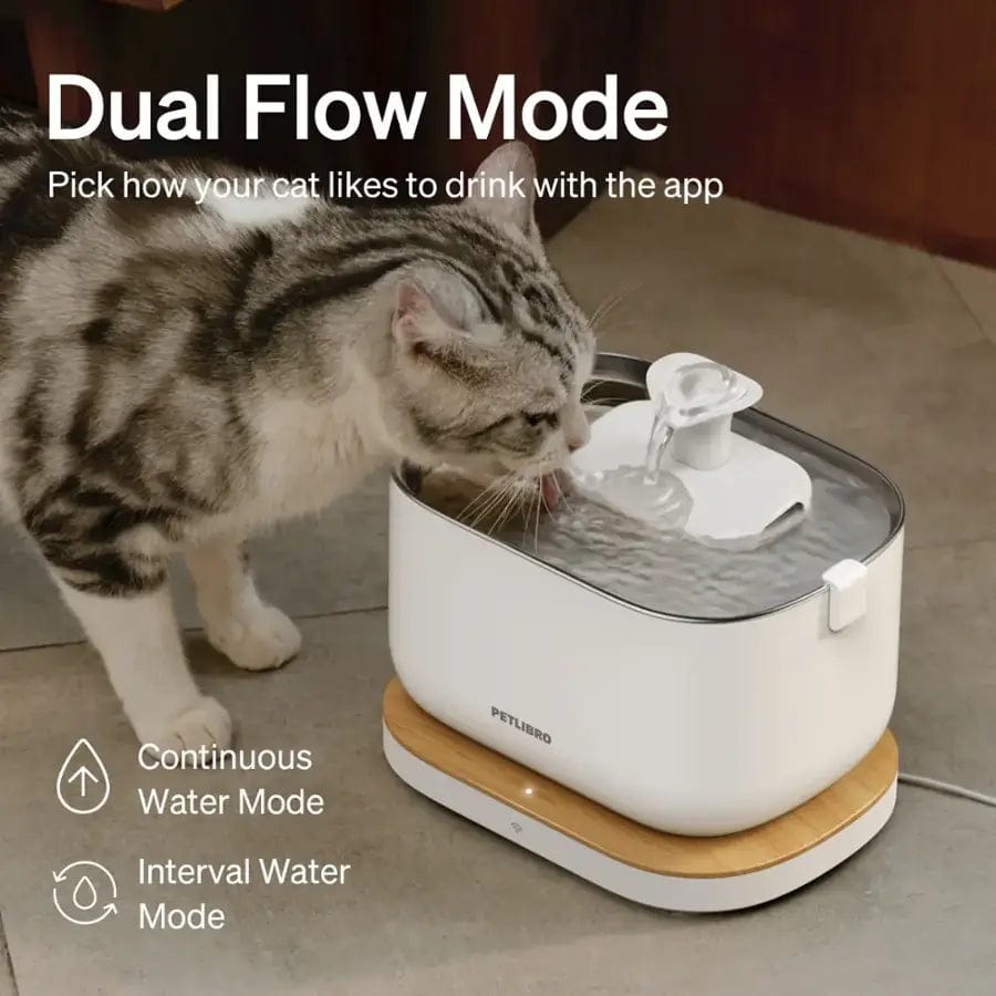 PETLIBRO Dockstream Automatic Pet Smart Water Fountain, App Monitoring, White - Certified Refurbished