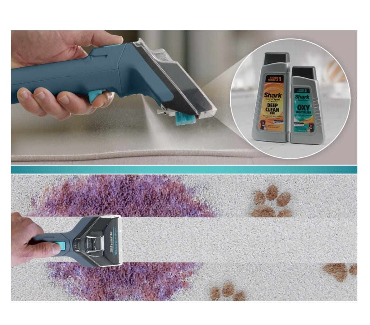 Shark CarpetXpert with Stain Striker, Upright Carpet Upholstery Cleaner Carpet Shampooer, Navy - Open Box