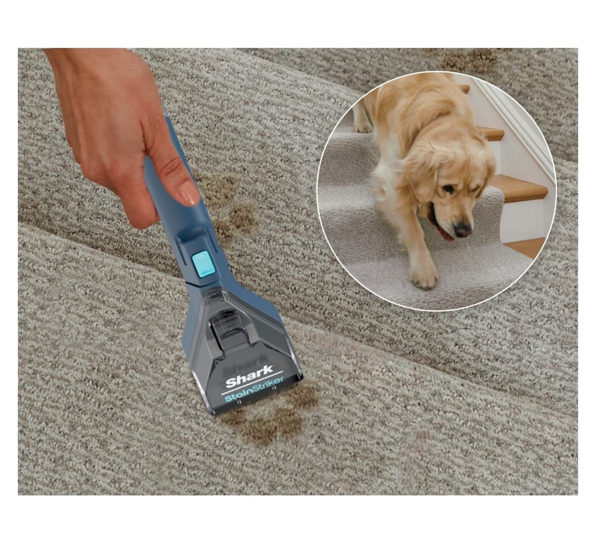 Shark CarpetXpert with Stain Striker, Upright Carpet Upholstery Cleaner Carpet Shampooer, Navy - Open Box