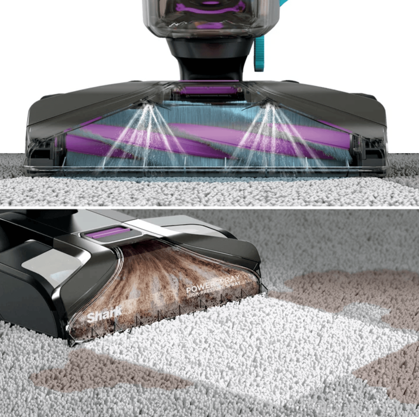 Shark CarpetXpert Carpet & Upholstery Cleaner with Stainstriker - Certified Refurbished