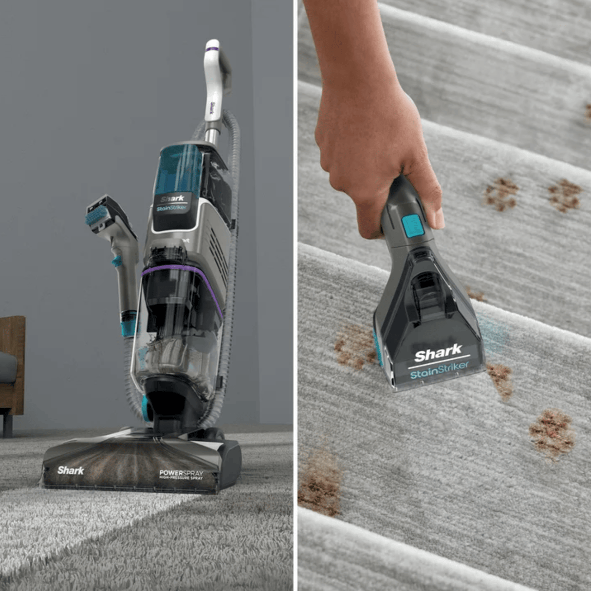 Shark CarpetXpert Carpet & Upholstery Cleaner with Stainstriker - Certified Refurbished
