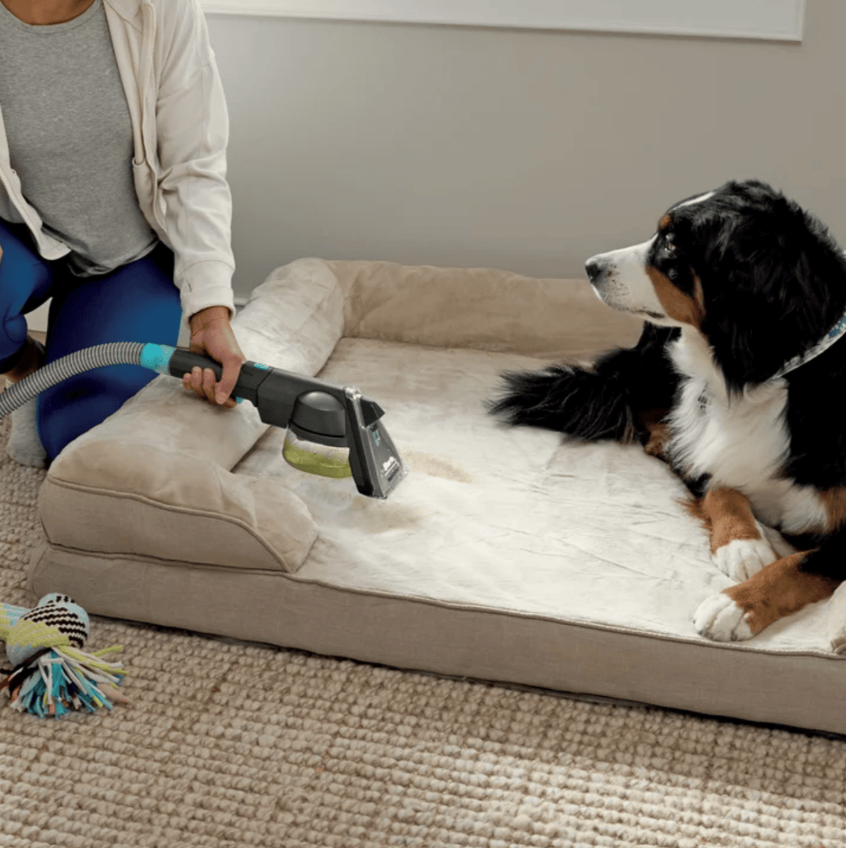 Shark CarpetXpert Carpet & Upholstery Cleaner with Stainstriker - Certified Refurbished