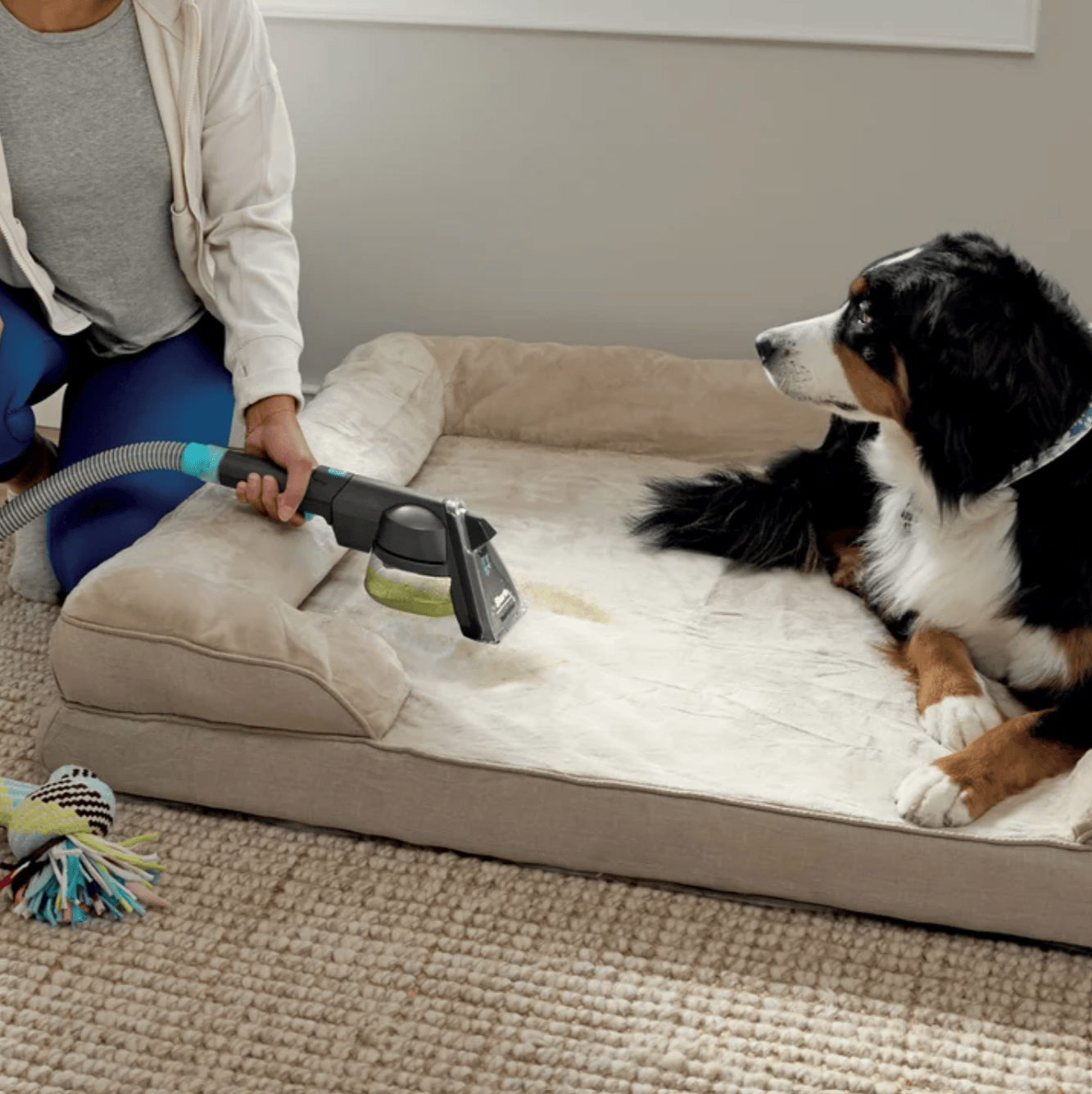Shark CarpetXpert Carpet & Upholstery Cleaner with Stainstriker - Certified Refurbished