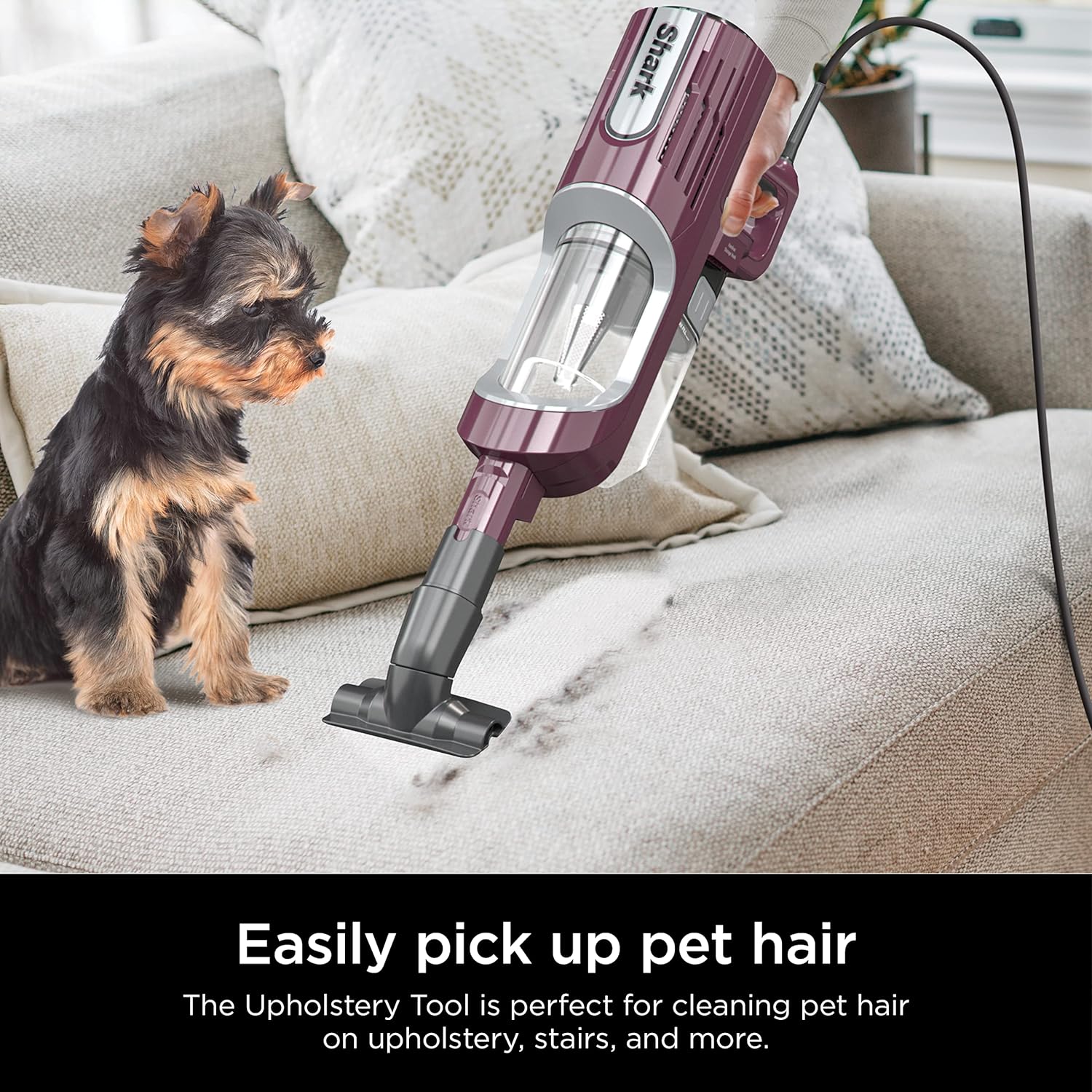 Shark Ultralight PetPro Corded Stick Vacuum with PowerFins HairPro Odor Neutralizer, Crevice & Upholstery Tool, Wine Purple - Certified Refurbished