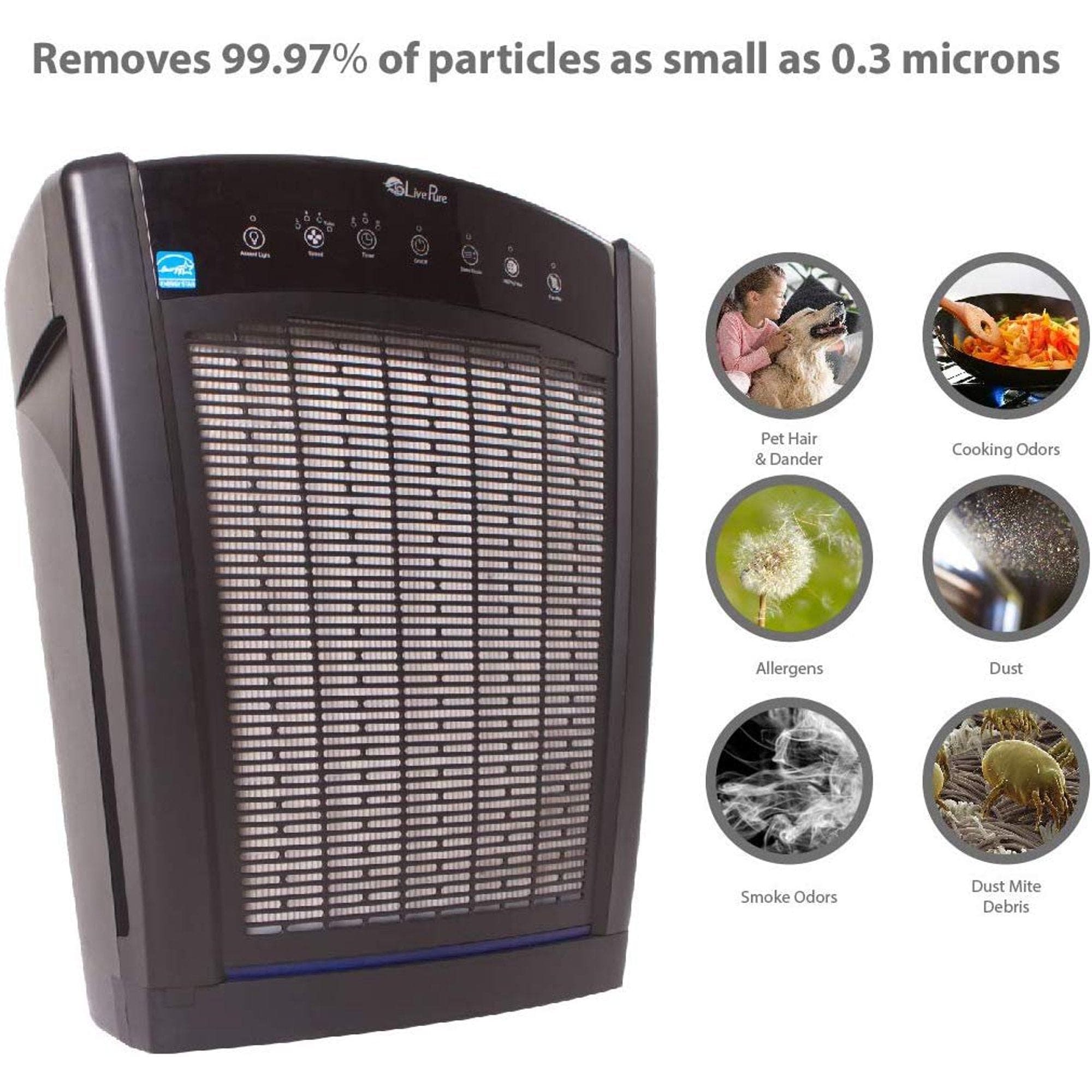 LivePure Bali Multi-Room True HEPA Console Air Purifier, Slate Black - Refurbished