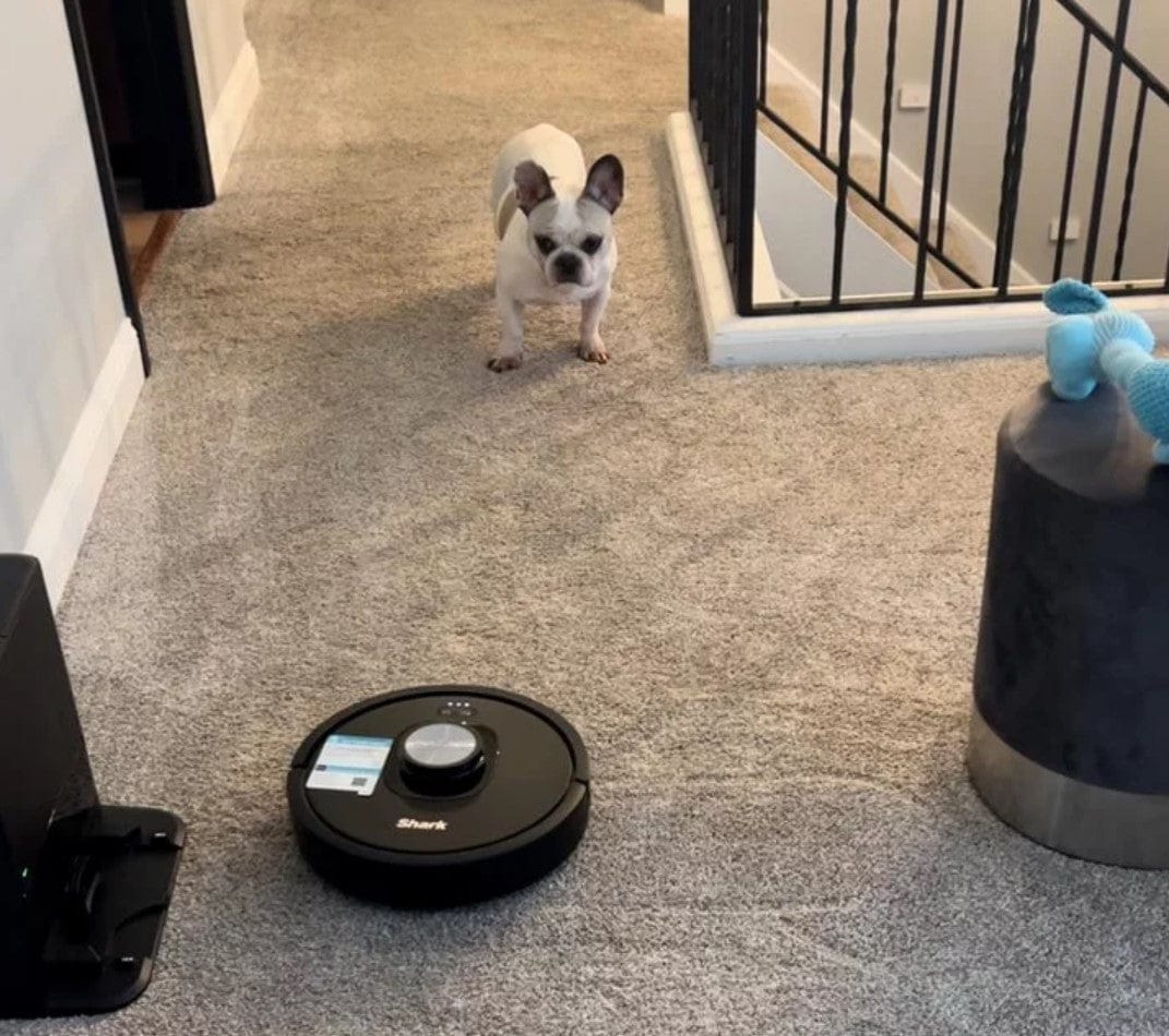 Shark Matrix Self Empty Robot Vacuum for Carpets & Hardfloors, 45-Day Capacity Self-Cleaning Bagless Base, Smart Control, - Certified Refurbished