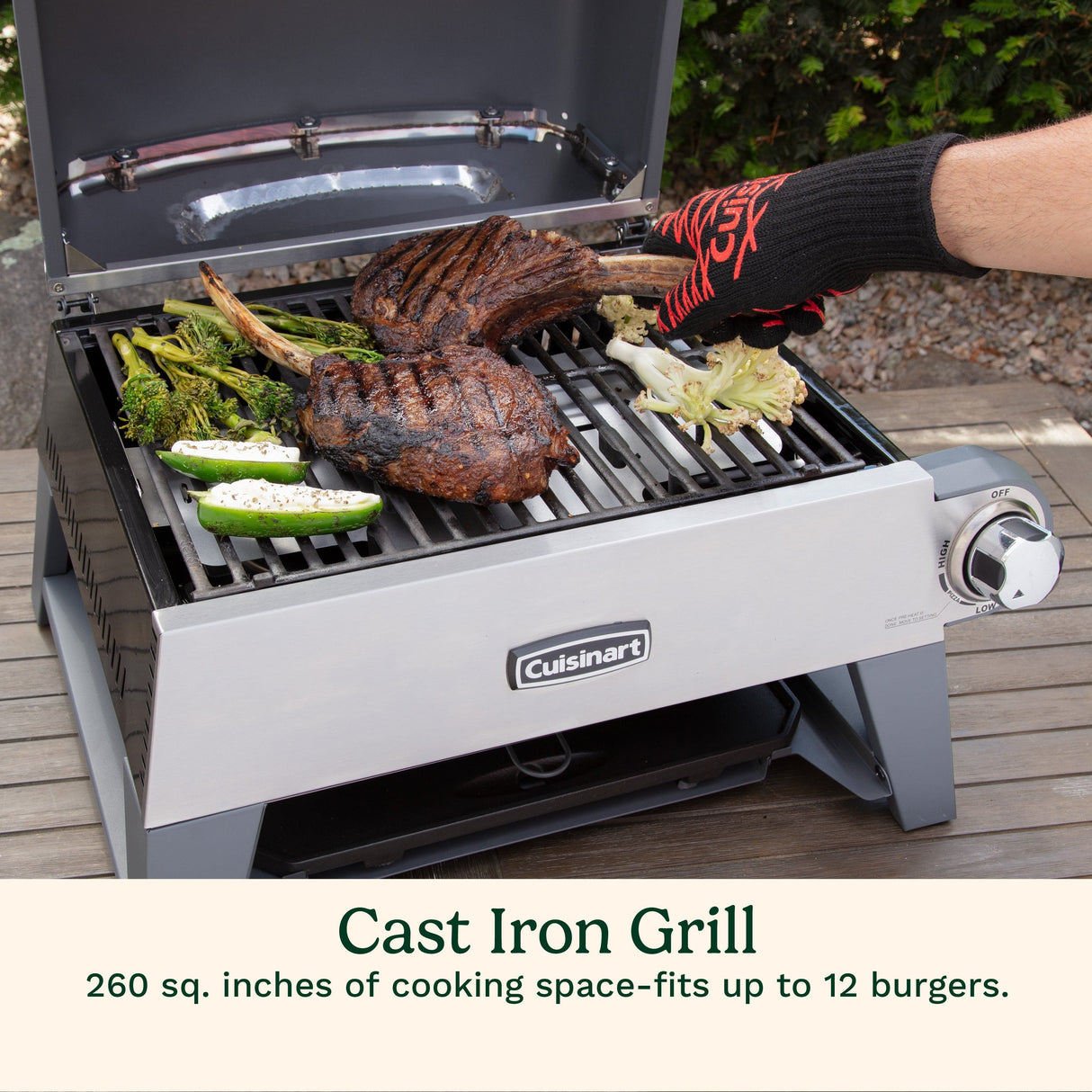 Cuisinart 3-in-1 Grill, Griddle, and Pizza Oven, Gray