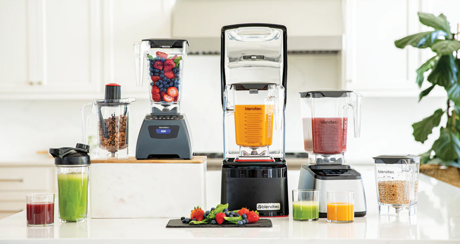Blendtec Blenders Picture