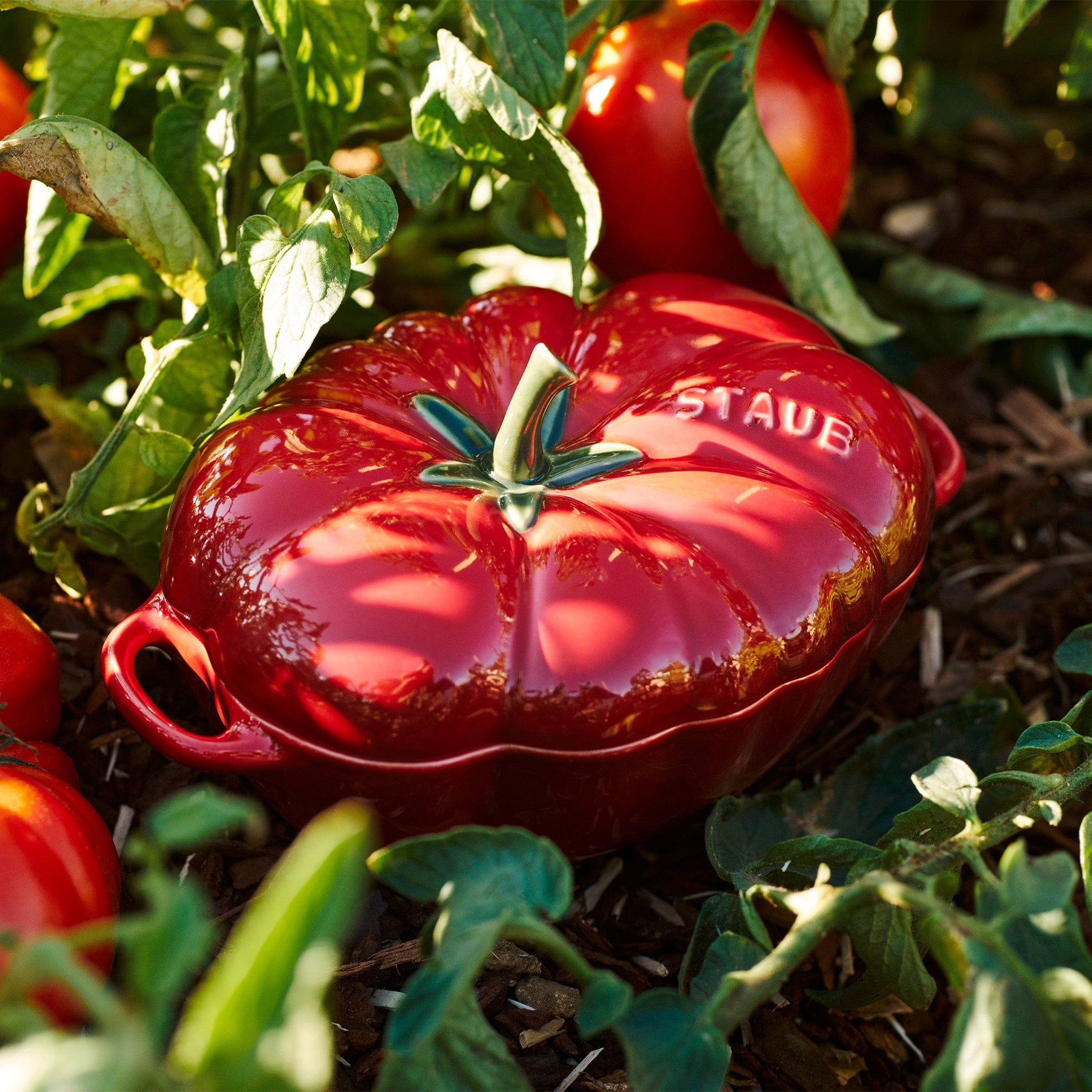 Staub Ceramic 16-oz Petite Tomato Cocotte - Cherry