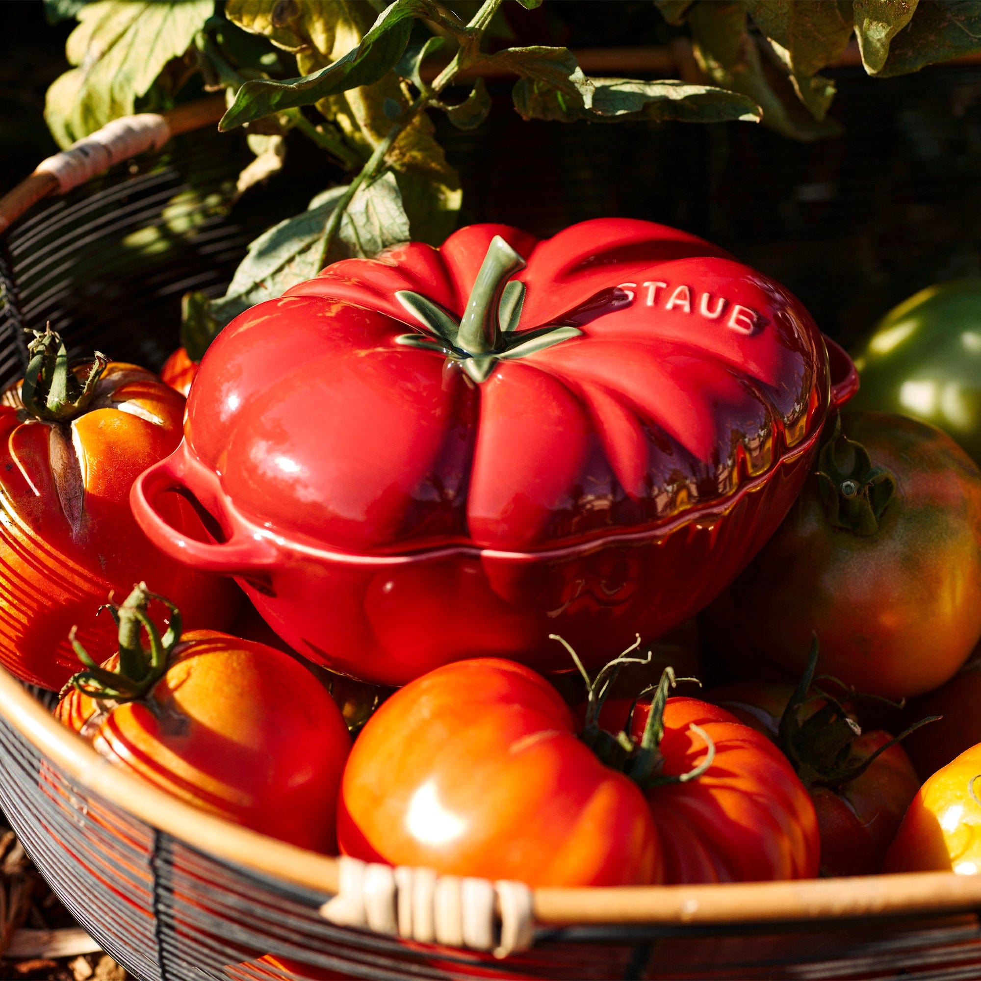 Staub Ceramic 16-oz Petite Tomato Cocotte - Cherry