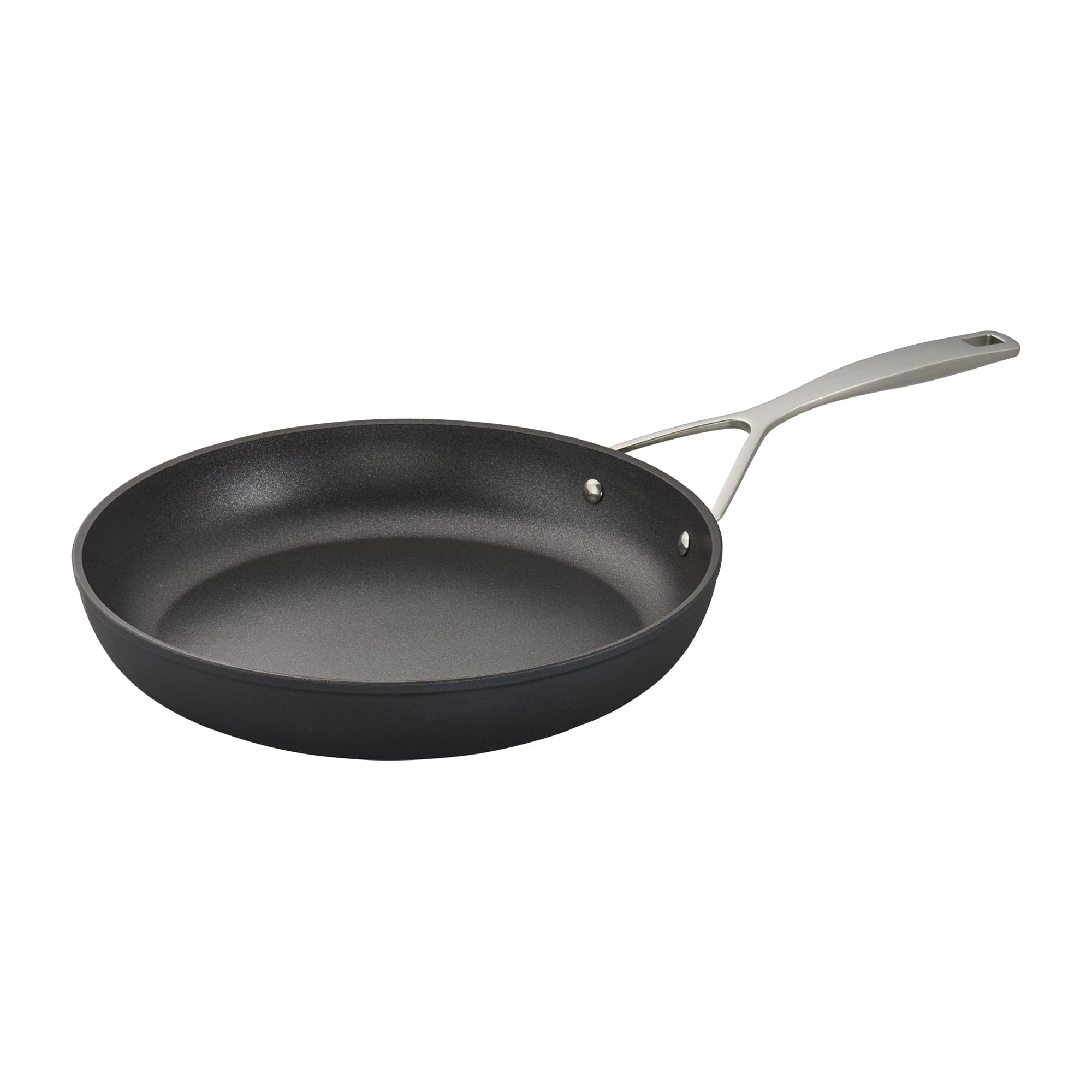 Demeyere AluPro 12-inch Aluminum Nonstick Fry Pan