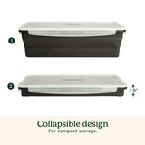 Cuisinart Collapsible Marinade Container