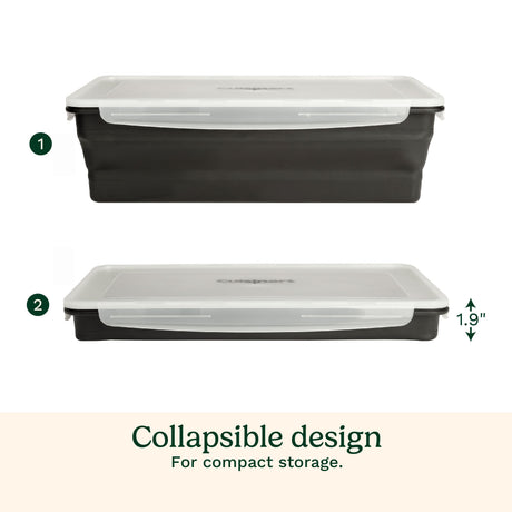 Cuisinart Collapsible Marinade Container