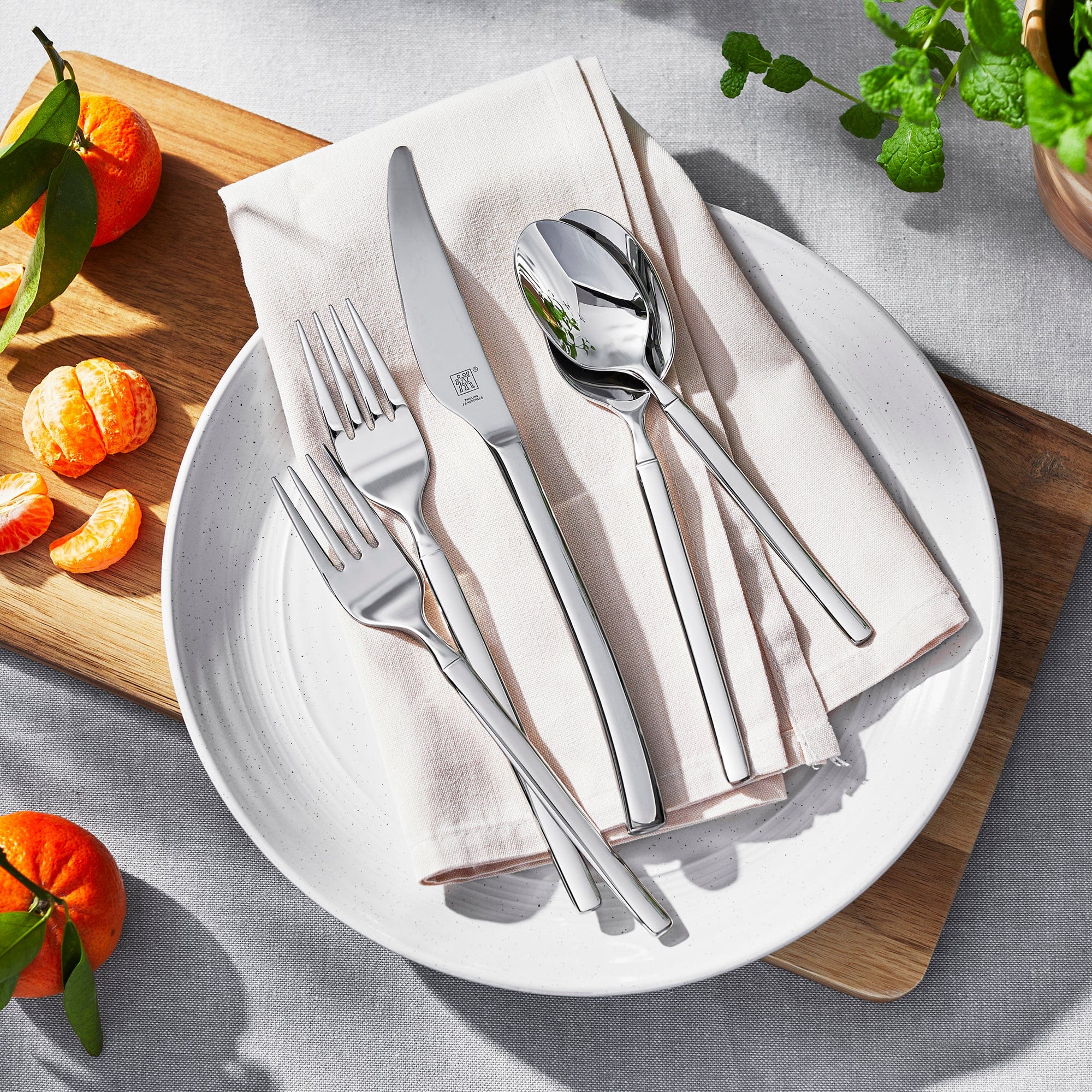 Zwilling Opus 20-Piece 18/10 Stainless Steel Flatware Set, Silver