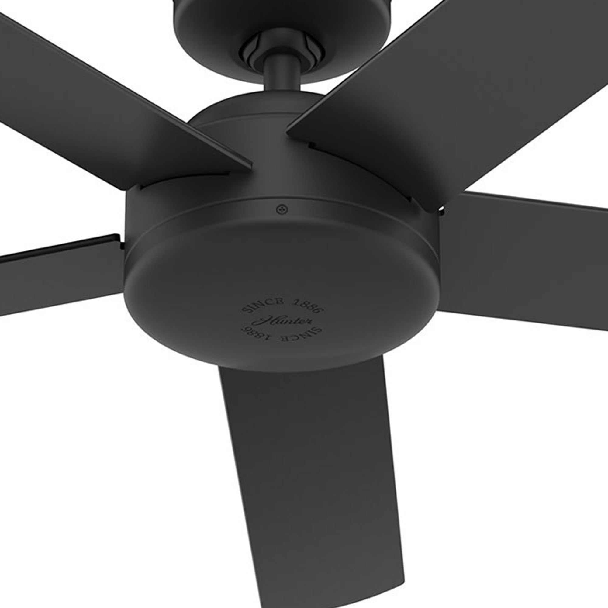 Hunter Fan 52 Inch Outdoor/Indoor Ceiling fan with Remote for Porch, Living Room, Office, Kitchen, Black - Certified Refurbished