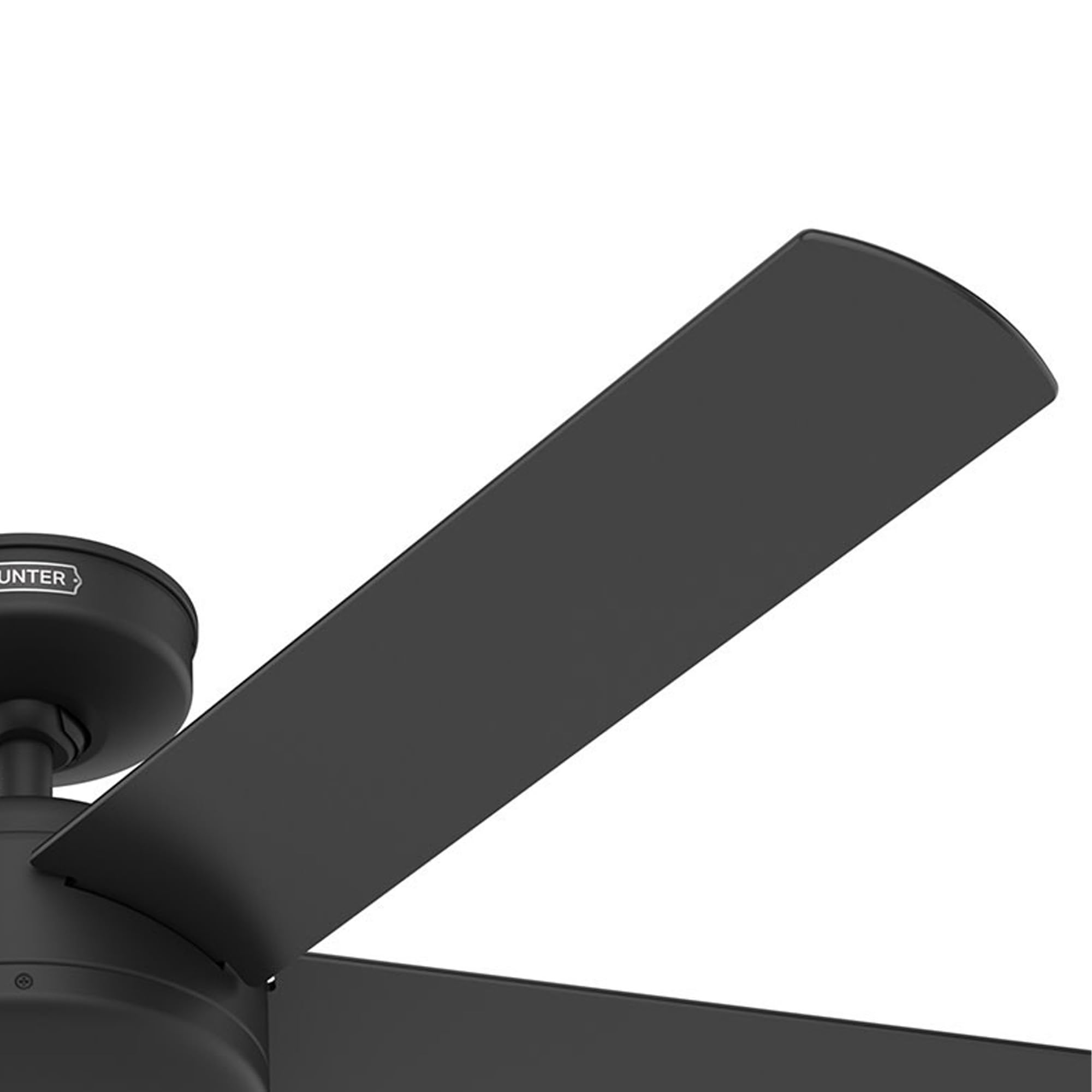 Hunter Fan 52 Inch Outdoor/Indoor Ceiling fan with Remote for Porch, Living Room, Office, Kitchen, Black - Certified Refurbished