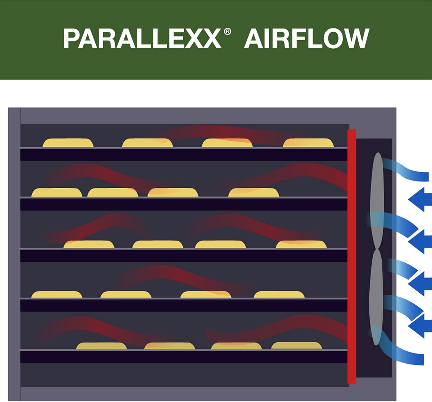 Excalibur Electric 9-Tray Food Dehydrator, Adjustable Thermostat, Accurate Temperature Control, Fast Drying, 15 Sq. Ft. Space, 600-Watts, Black