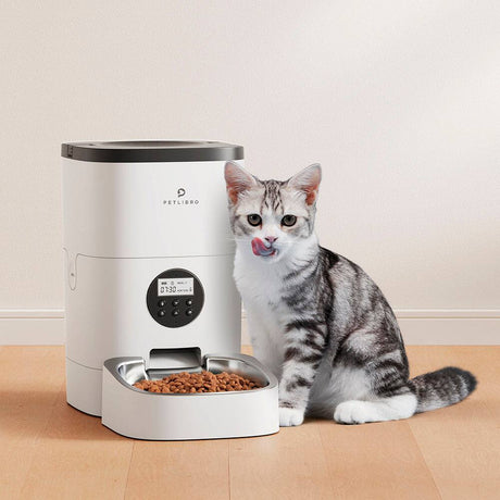 Petlibro Stainless Steel 4L Automatic Dog and Cat Feeder with Voice Recorder, White - Certified Refurbished