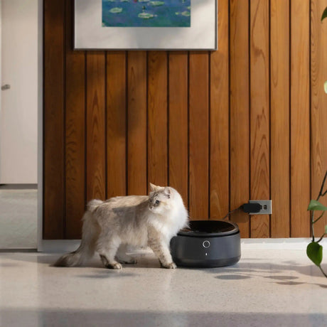 Petlibro Polar App Control Smart Wet Food Pet Feeder, 3 Meals, Anti-Pinch, Black - Certified Refurbished