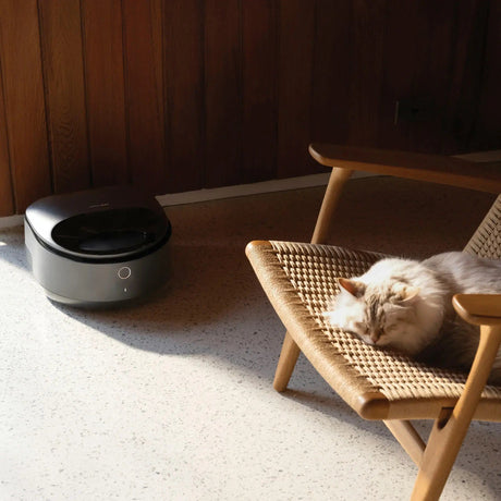 Petlibro Polar App Control Smart Wet Food Pet Feeder, 3 Meals, Anti-Pinch, Black - Certified Refurbished
