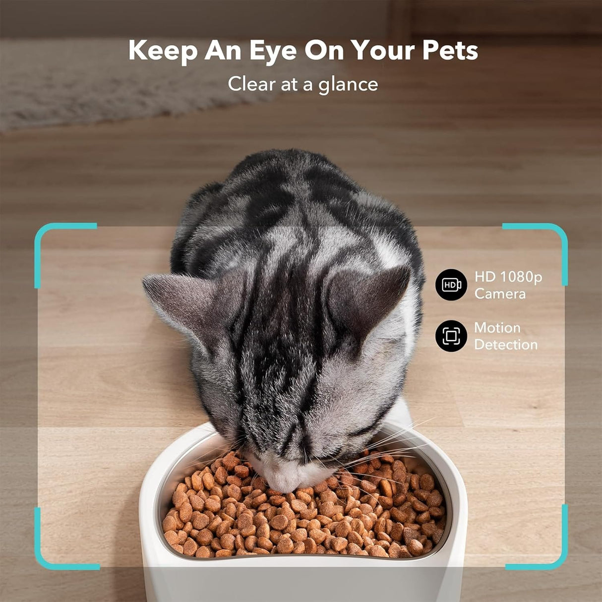 Petlibro Automatic Single Tray Smart Pet Feeder with Video Camera, Night Vision, Motion & Sound Alerts, White - Certified Refurbished