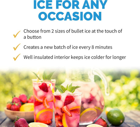 Newair Portable Ice Maker with 2 Ice Sizes, 33 lbs of Ice a Day, Black - Certified Refurbished