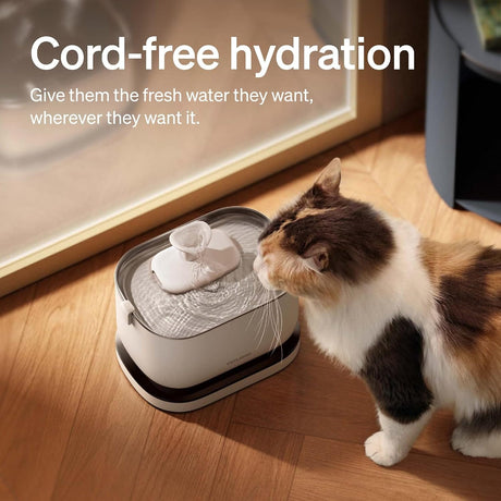 Petlibro Cordless Cat Water Fountain, Battery Operated, 2.5L/84oz Dockstream, White - Certified Refurbished