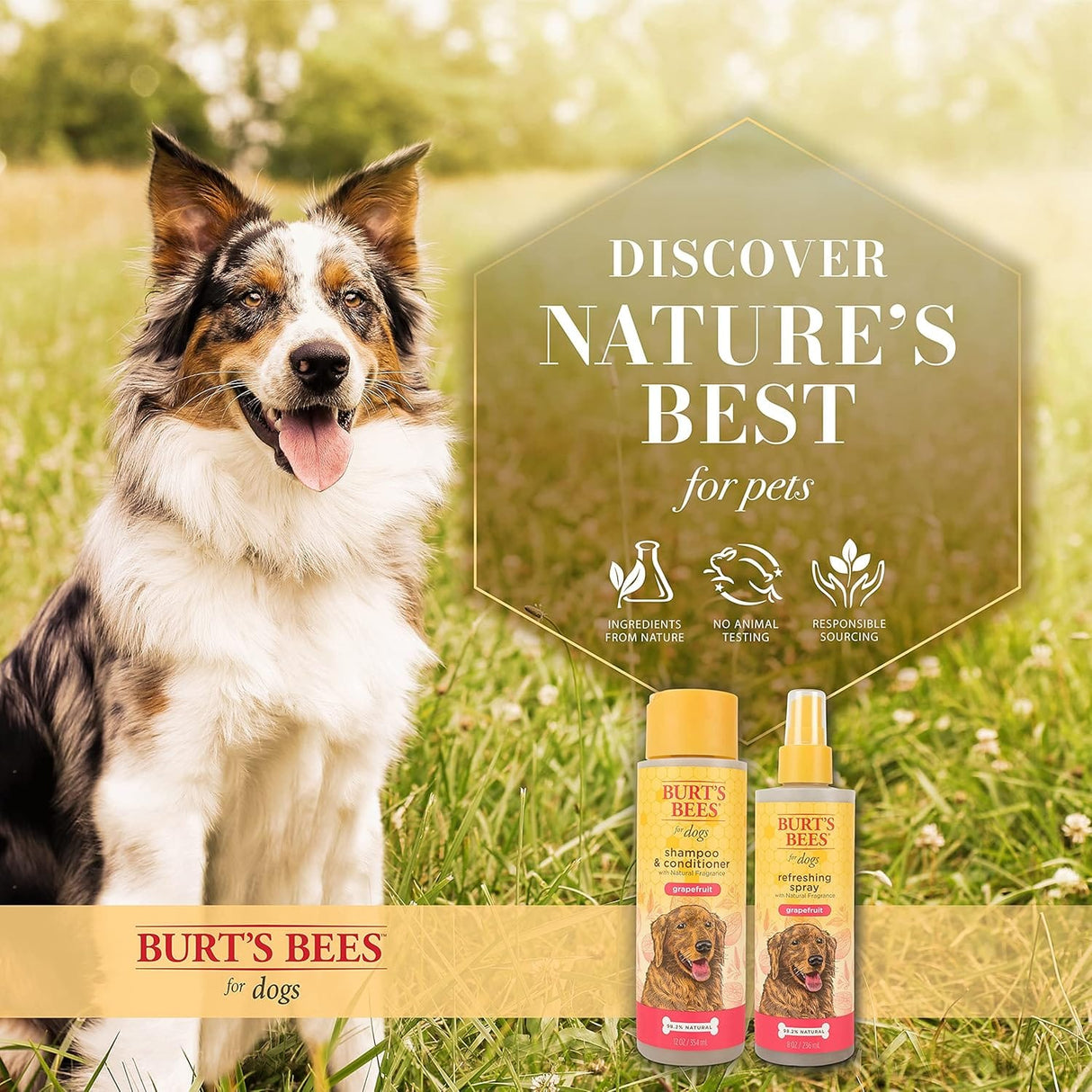 Burt's Bees Dog Refreshing Spray, Grapefruit Scent, pH Balanced, Formulated Without Sulfates and Parabens, 8 oz