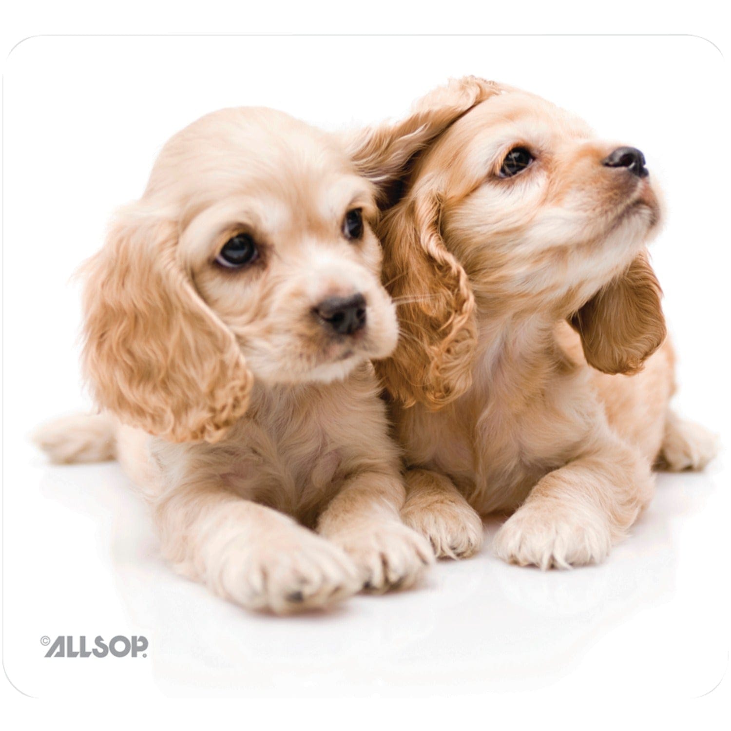 Allsop NatureSmart Mouse Pad, Puppies