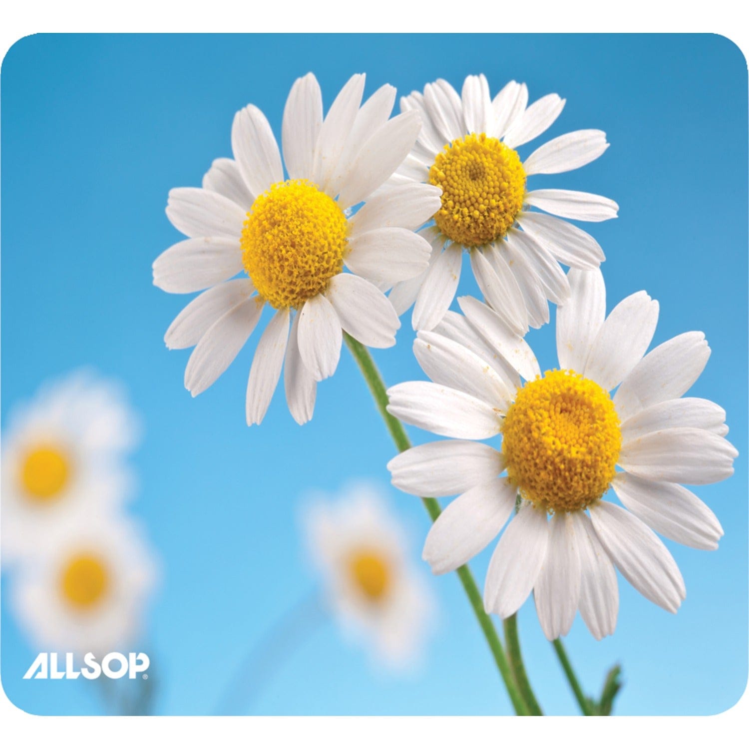 Allsop NatureSmart Mouse Pad, Daisies