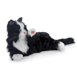 Joy For All Companion Pet Cat, Black and White Tuxedo