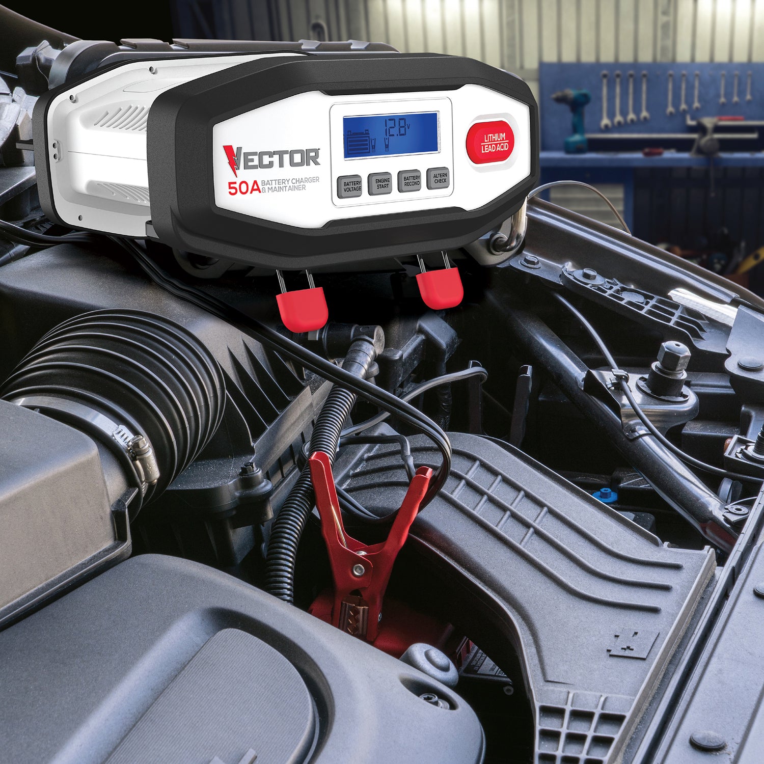 Vector 50-Amp Engine Start/15-Amp Automatic Battery Charger/Maintainer with Lithium/Lead-Acid Selector, VECBC50