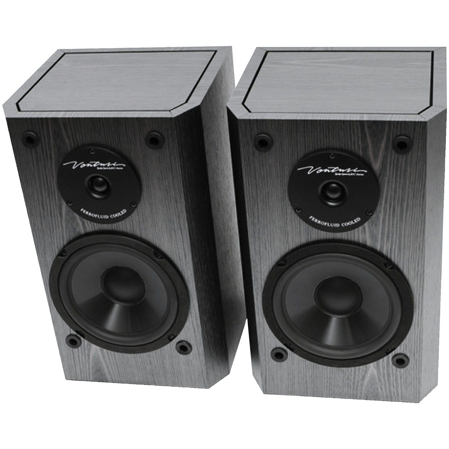 BIC America 175-Watt Venturi DV62si Powered Bookshelf/Surround Sound Speaker Set with 6.5-In. Woofers, Pair