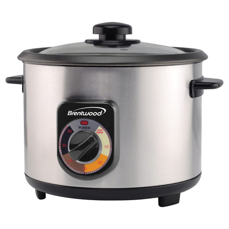 Brentwood 10-Cup Uncooked/20-Cup Cooked 700-Watt Stainless Steel Crunchy Persian Rice Cooker with Lid