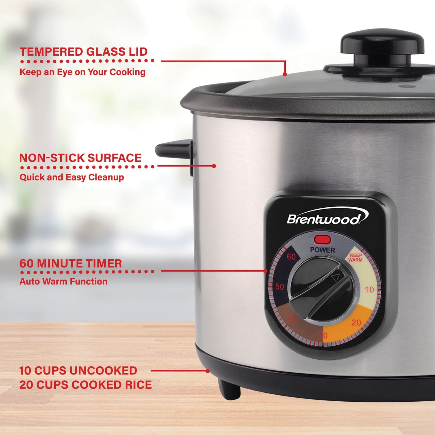 Brentwood 10-Cup Uncooked/20-Cup Cooked 700-Watt Stainless Steel Crunchy Persian Rice Cooker with Lid