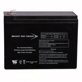Bright Way Group BWG 12100-S F2 Sealed Lead Acid Battery