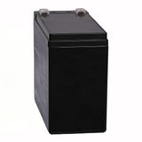 Bright Way Group BWG 12100-S F2 Sealed Lead Acid Battery