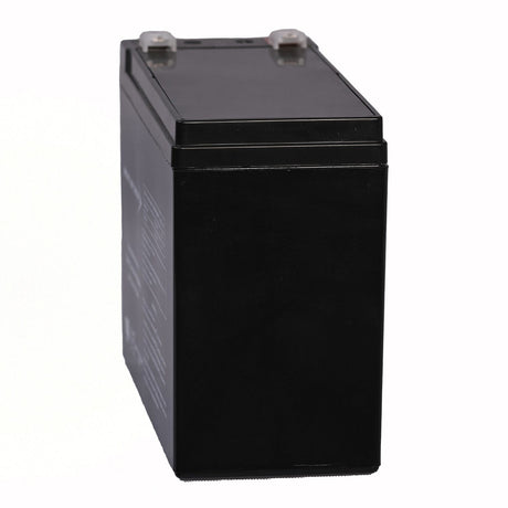Bright Way Group BWG 12100-S F2 Sealed Lead Acid Battery