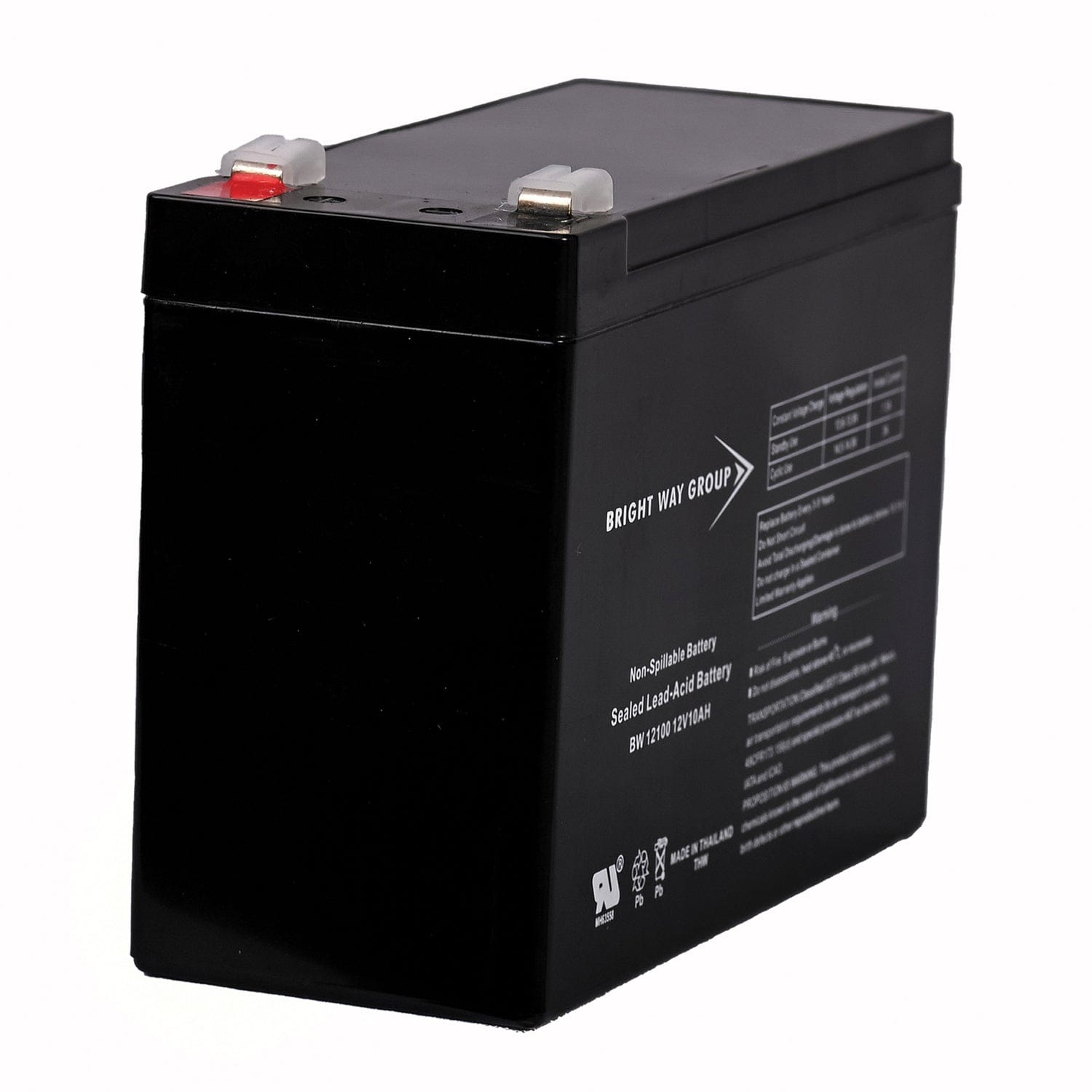 Bright Way Group BWG 12100-S F2 Sealed Lead Acid Battery