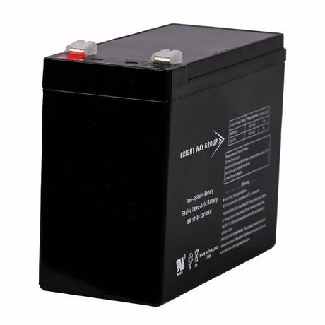 Bright Way Group BWG 12100-S F2 Sealed Lead Acid Battery