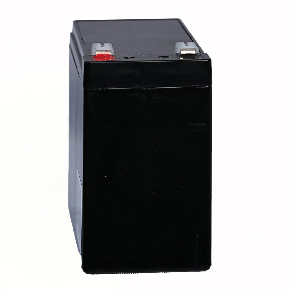 Bright Way Group BWG 12100-S F2 Sealed Lead Acid Battery