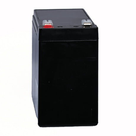 Bright Way Group BWG 12100-S F2 Sealed Lead Acid Battery