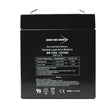 Bright Way Group BWG 1250 F1 Battery