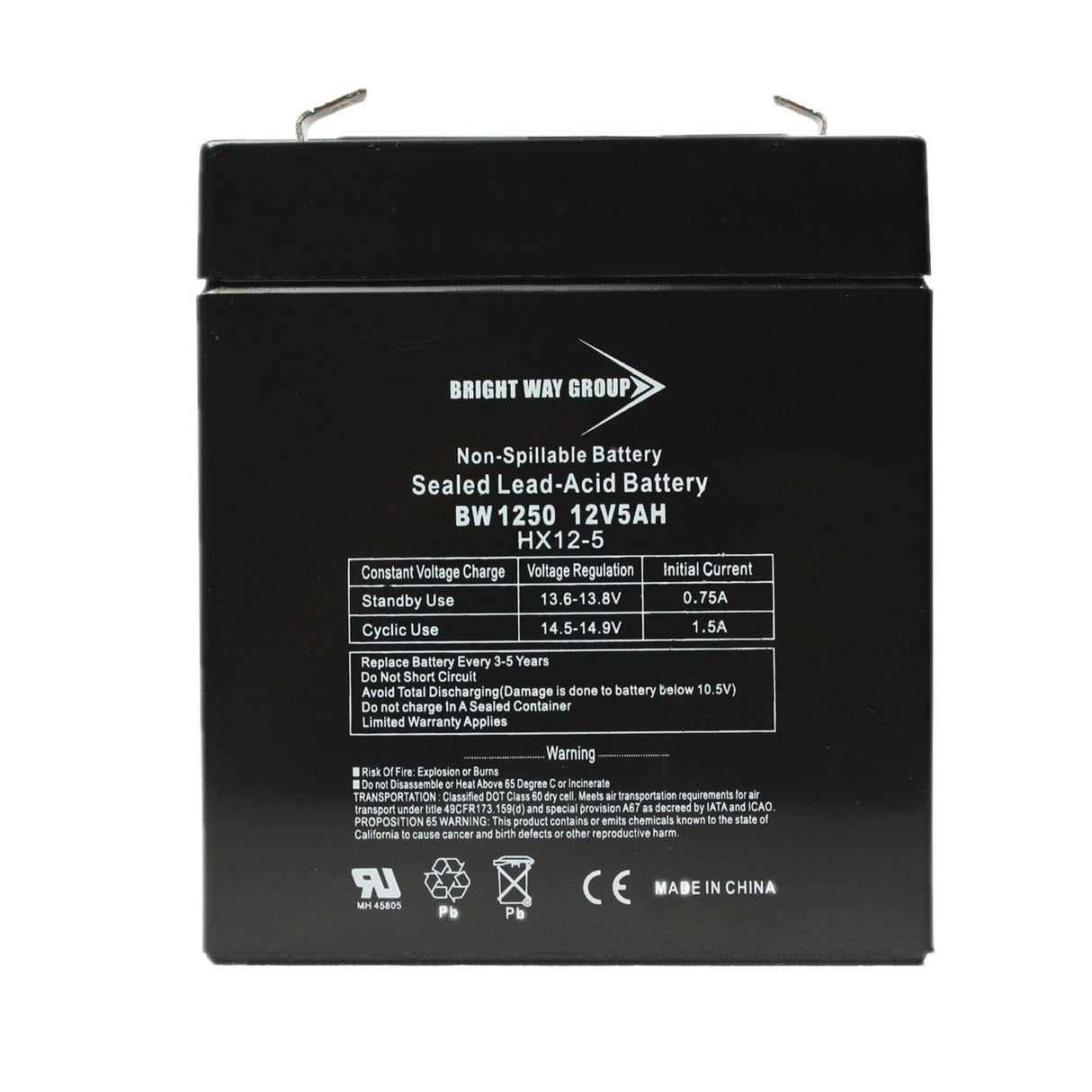 Bright Way Group BWG 1250 F1 Battery